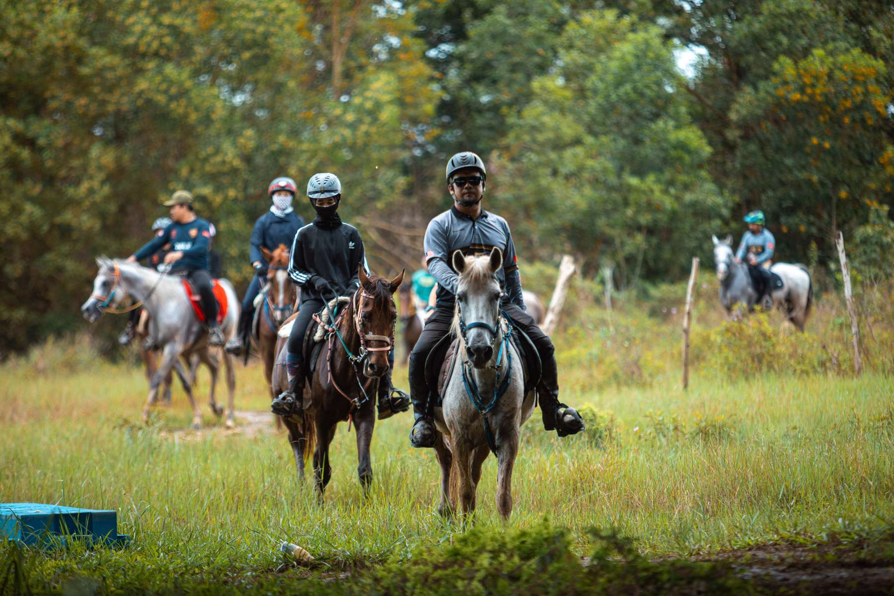 Galeri V2 - High Chaparral Stable 16